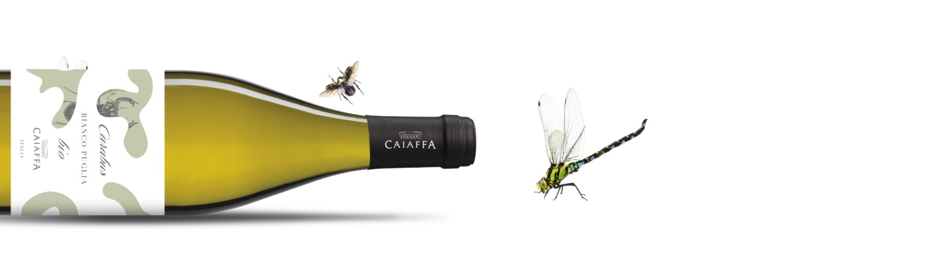 Caiaffa